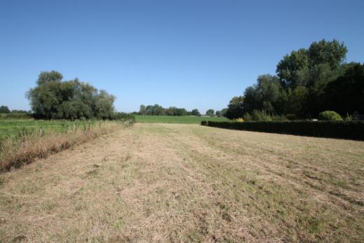 Tweede alternatieve foto van het pand