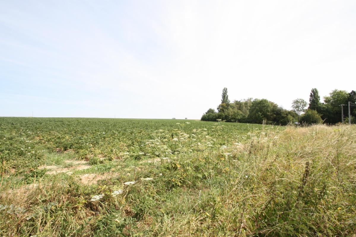 Presentatiebeeld van het pand n° 299298