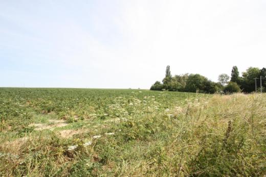 Presentatiebeeld van het pand n° 299298
