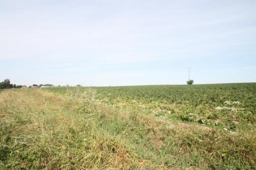 Eerste alternatieve foto van het pand