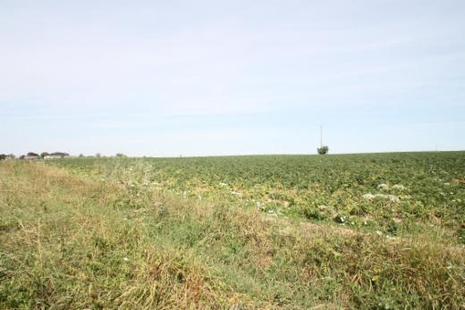 Tweede alternatieve foto van het pand