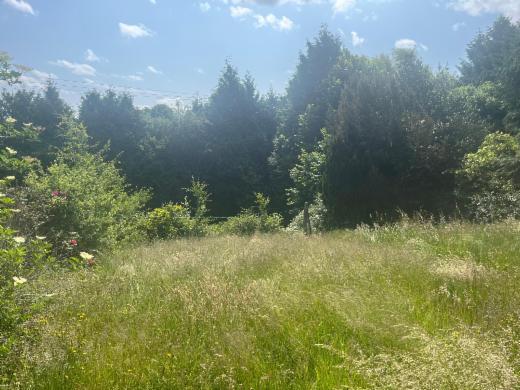 Derde alternatieve foto van het pand