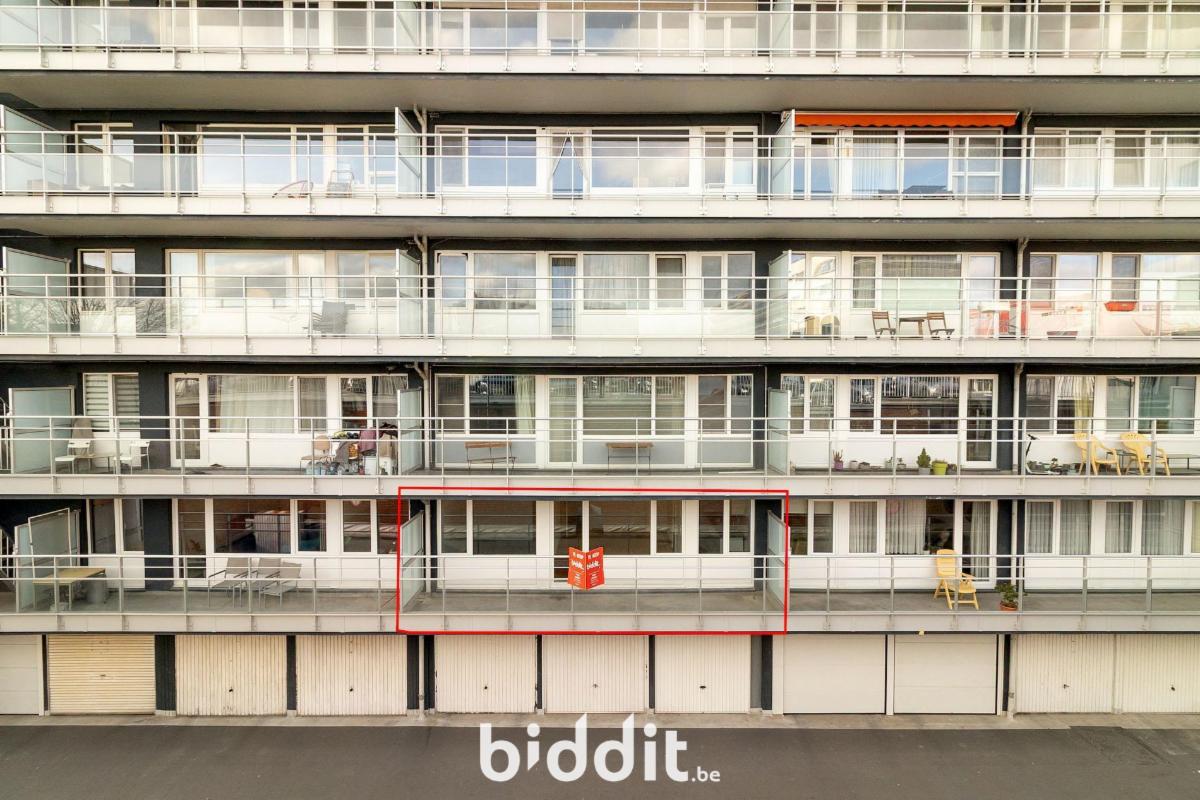 Presentatiebeeld van het pand n° 295826