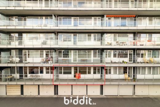 Presentatiebeeld van het pand n° 295826