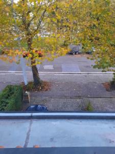 Eerste alternatieve foto van het pand