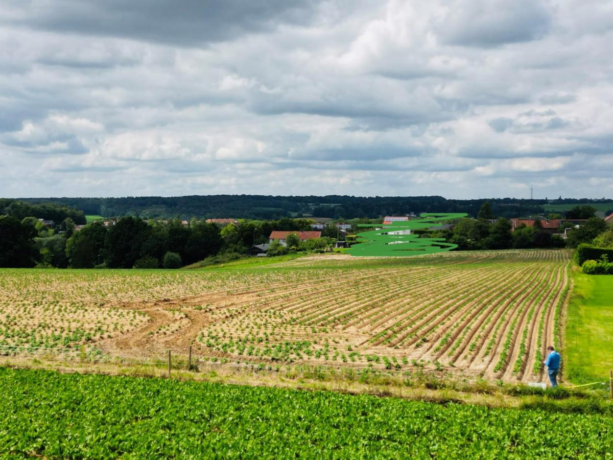 Presentatiebeeld van het pand n° 297670