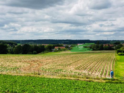 Presentatiebeeld van het pand n° 297670