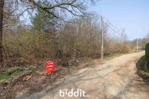 Eerste alternatieve foto van het pand