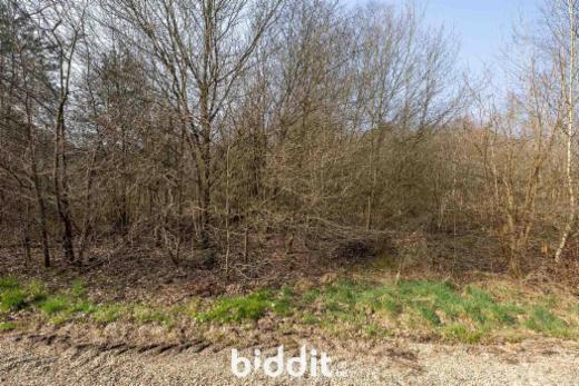 Derde alternatieve foto van het pand