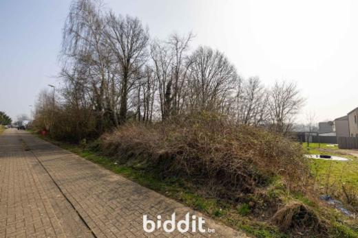 Tweede alternatieve foto van het pand