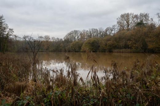 Tweede alternatieve foto van het pand