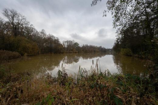 Derde alternatieve foto van het pand