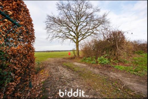 Eerste alternatieve foto van het pand