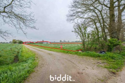 Presentatiebeeld van het pand n° 295031