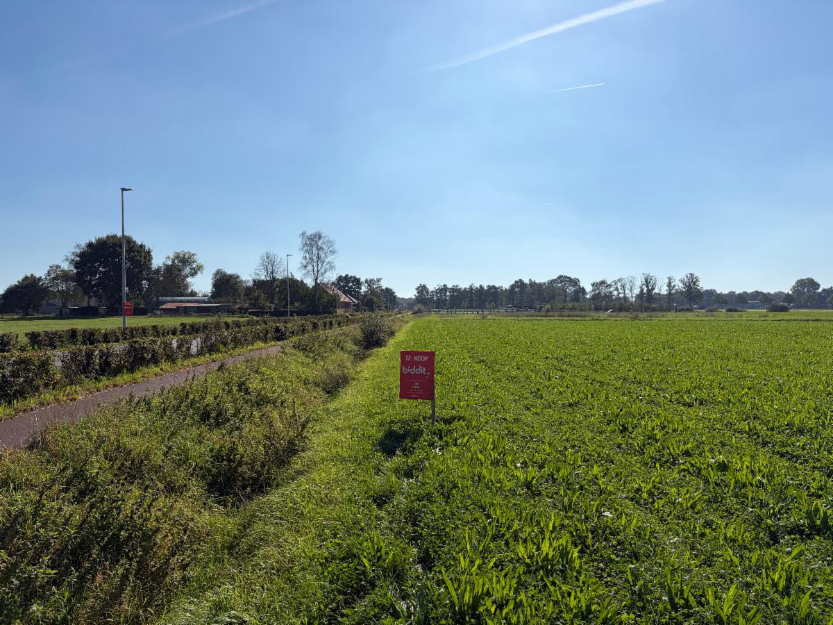 Presentatiebeeld van het pand n° 302306