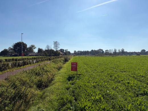 Presentatiebeeld van het pand n° 302306