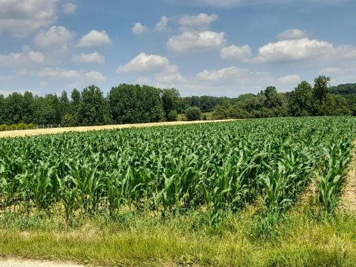Eerste alternatieve foto van het pand