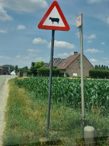 Derde alternatieve foto van het pand