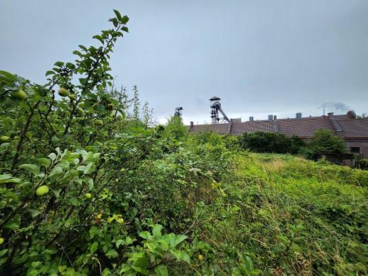 Eerste alternatieve foto van het pand