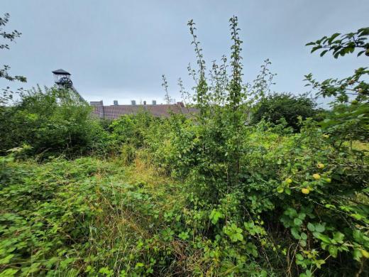 Tweede alternatieve foto van het pand