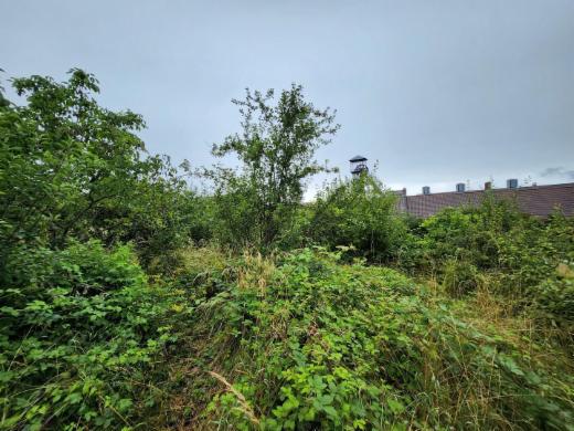 Derde alternatieve foto van het pand