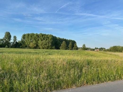 Eerste alternatieve foto van het pand