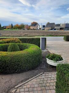 Tweede alternatieve foto van het pand