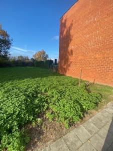 Eerste alternatieve foto van het pand