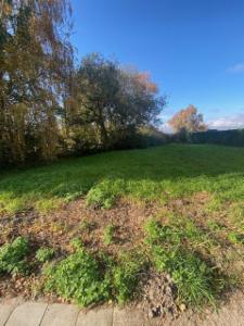 Eerste alternatieve foto van het pand