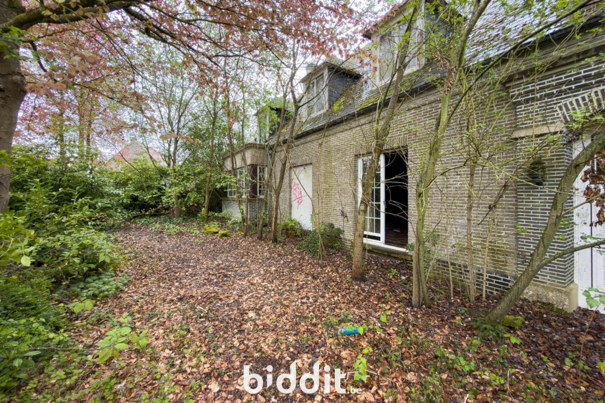 Presentatiebeeld van het pand n° 296308