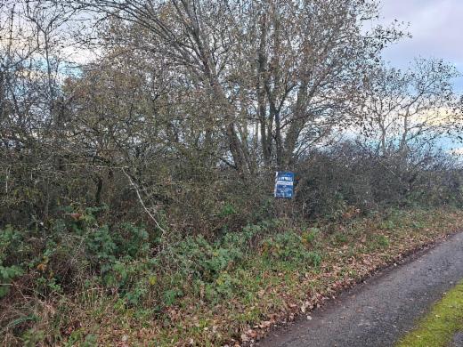 Presentatiebeeld van het pand n° 290389