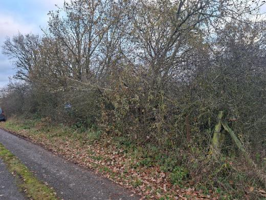 Eerste alternatieve foto van het pand