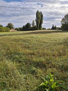 Presentatiebeeld van het pand n° 287376