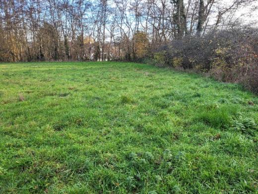 Eerste alternatieve foto van het pand