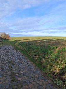 Derde alternatieve foto van het pand