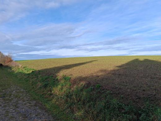 Presentatiebeeld van het pand n° 290930