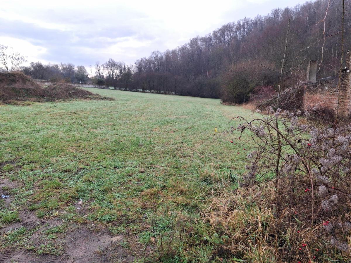 Presentatiebeeld van het pand n° 291240