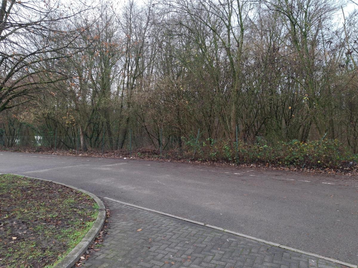 Presentatiebeeld van het pand n° 291368