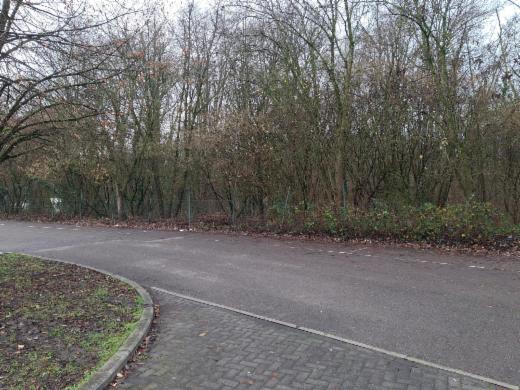 Presentatiebeeld van het pand n° 291368