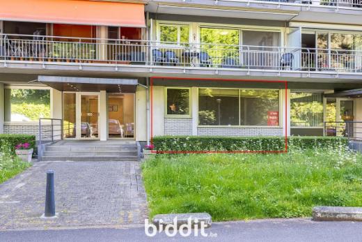 Presentatiebeeld van het pand n° 296596