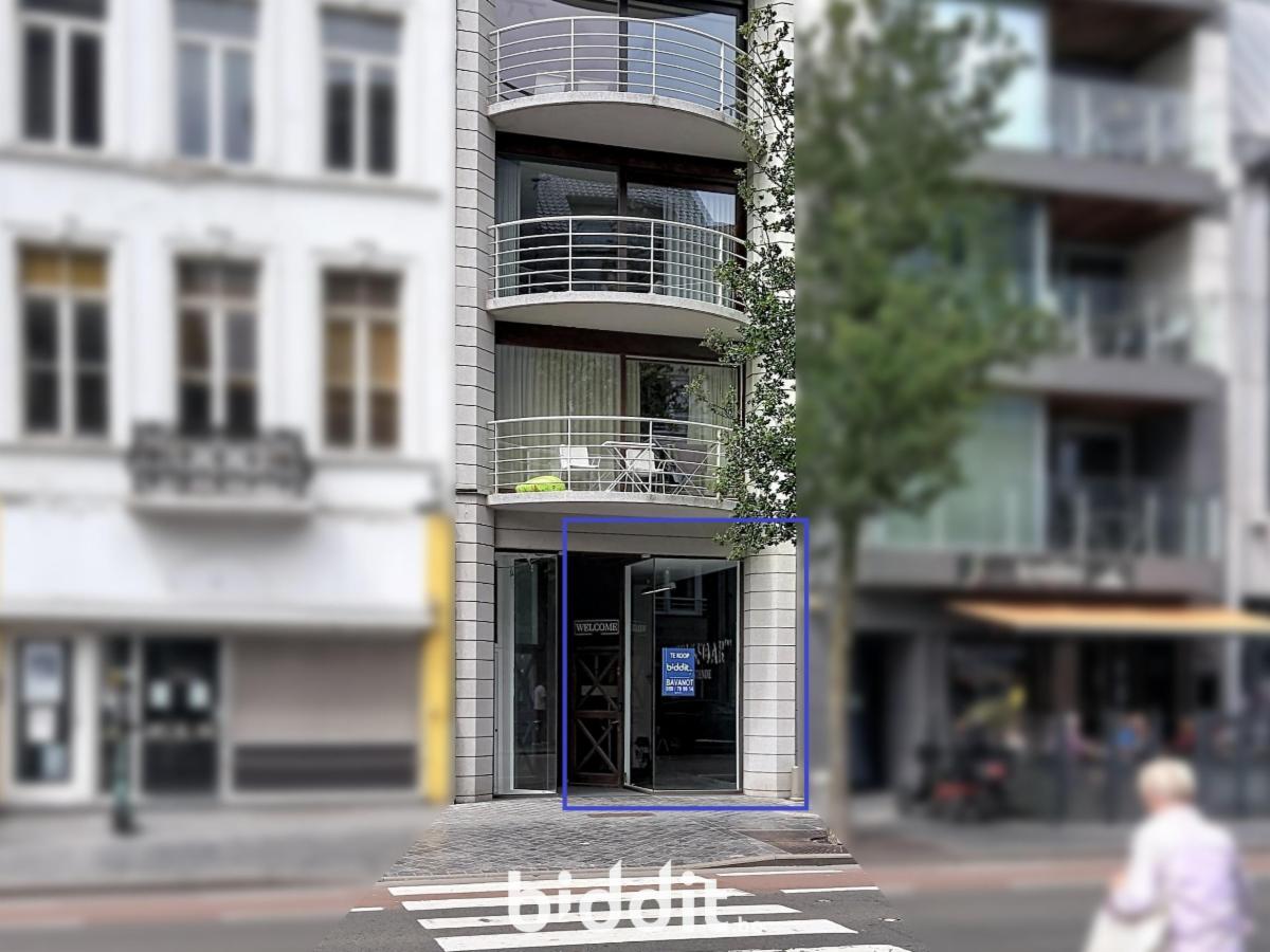 Presentatiebeeld van het pand n° 299026