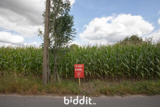 Presentatiebeeld van het pand n° 286293