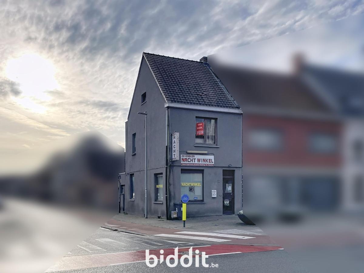 Presentatiebeeld van het pand n° 291177