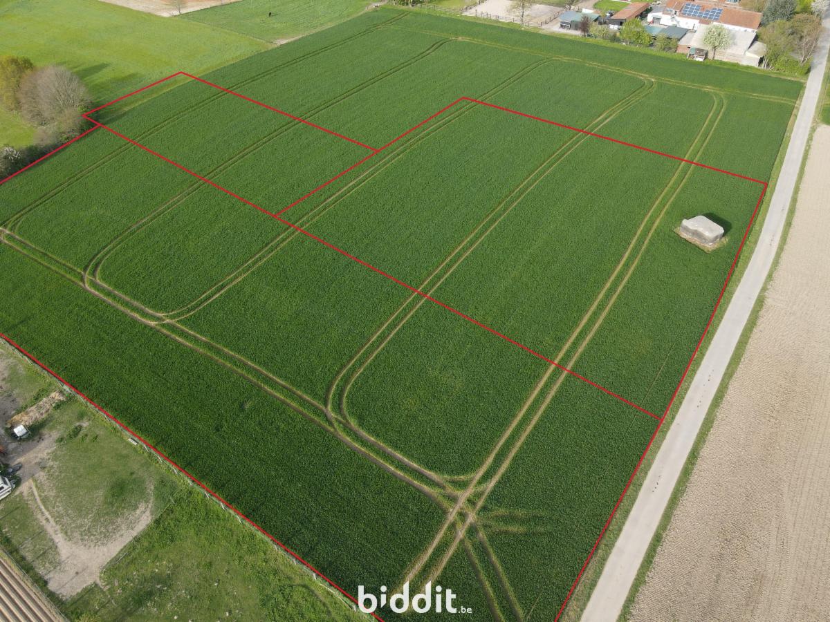 Presentatiebeeld van het pand n° 295363