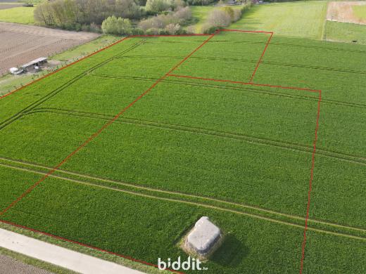 Eerste alternatieve foto van het pand