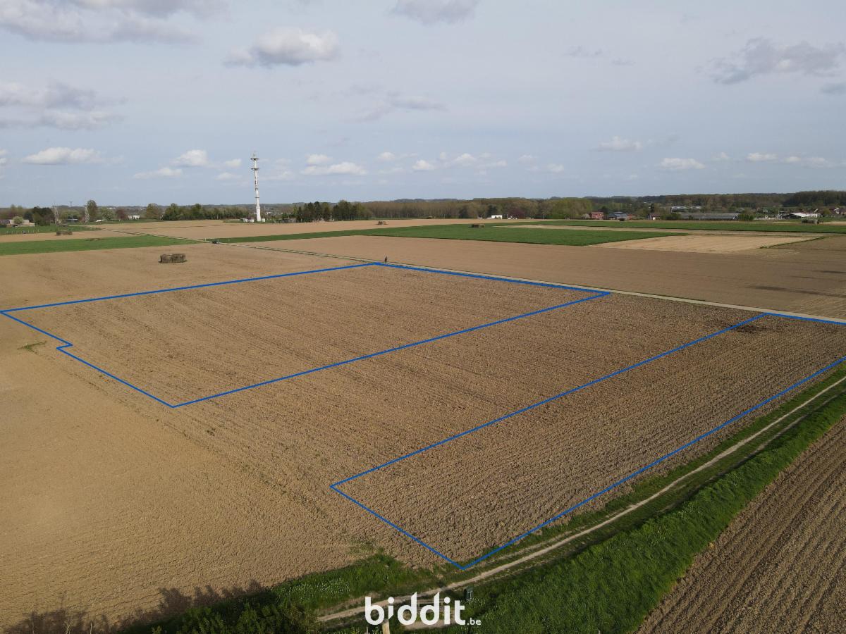 Presentatiebeeld van het pand n° 295364