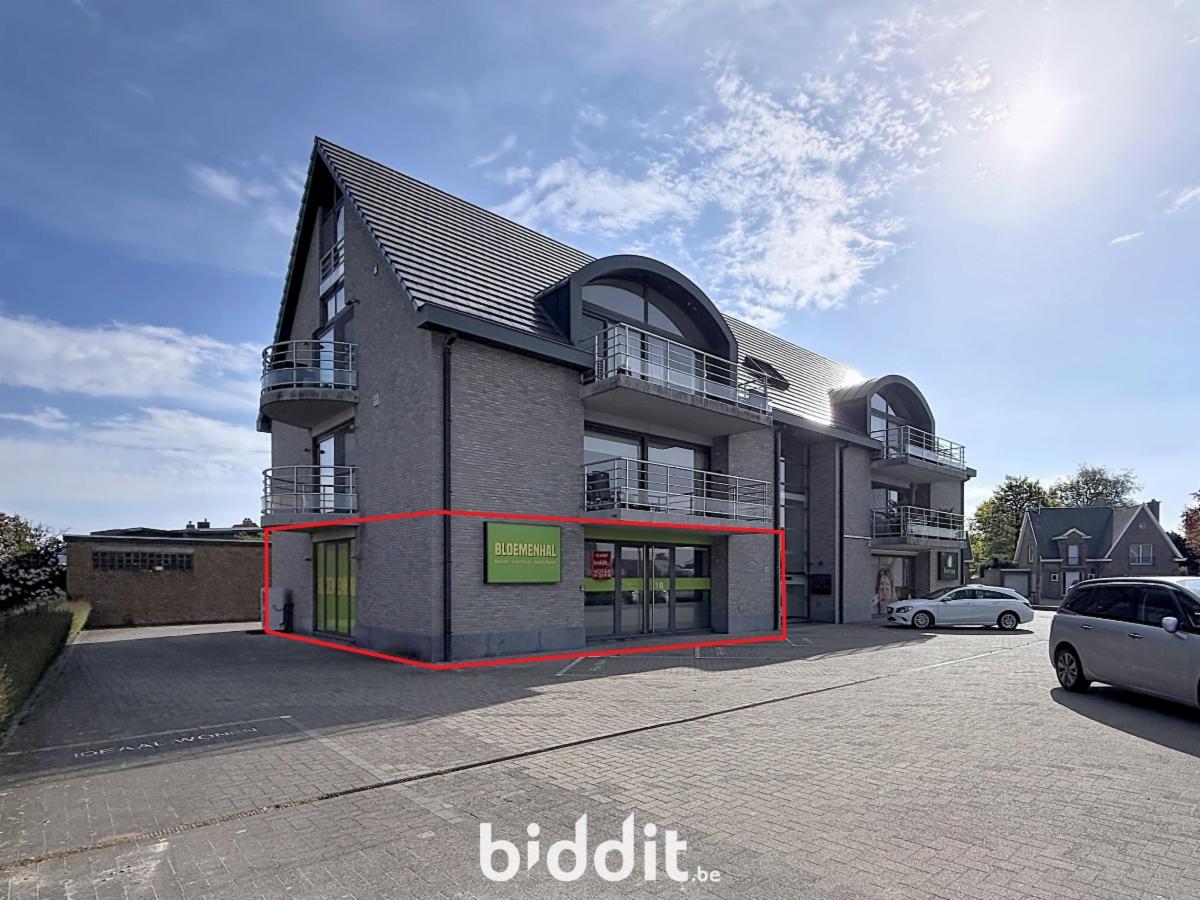 Presentatiebeeld van het pand n° 296370