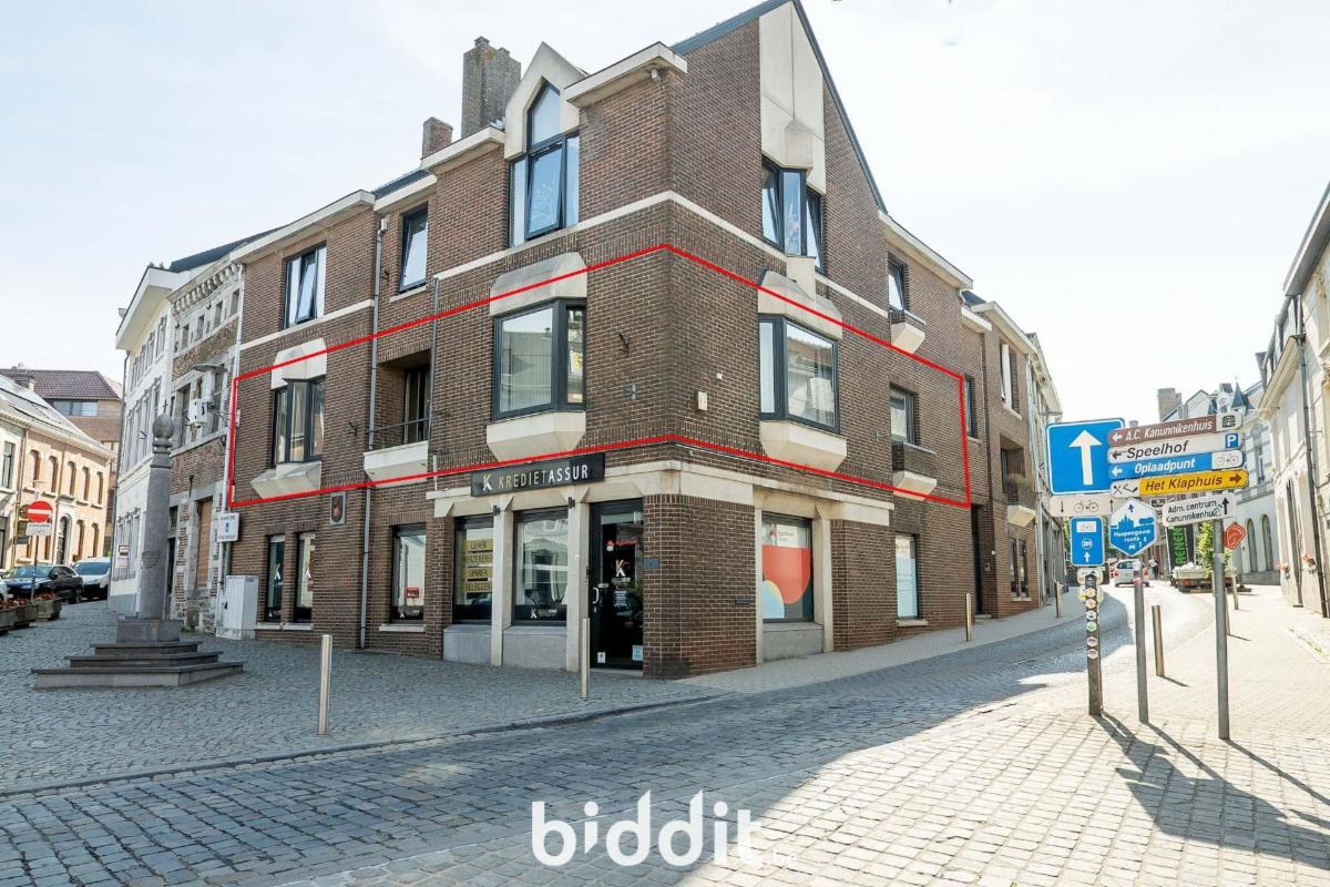 Presentatiebeeld van het pand n° 300058
