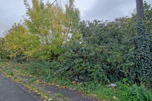 Tweede alternatieve foto van het pand