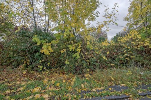 Derde alternatieve foto van het pand